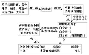 內(nèi)毒素